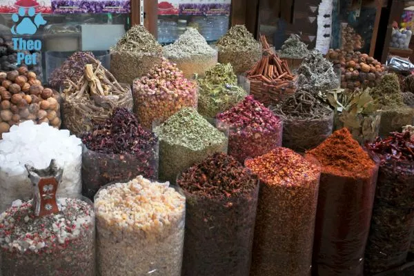 نحوه استفاده از گیاهان دارویی برای سگ ها