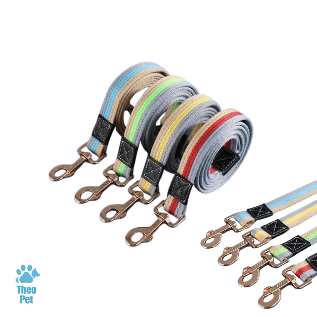 بند قلاده سگ - لیش