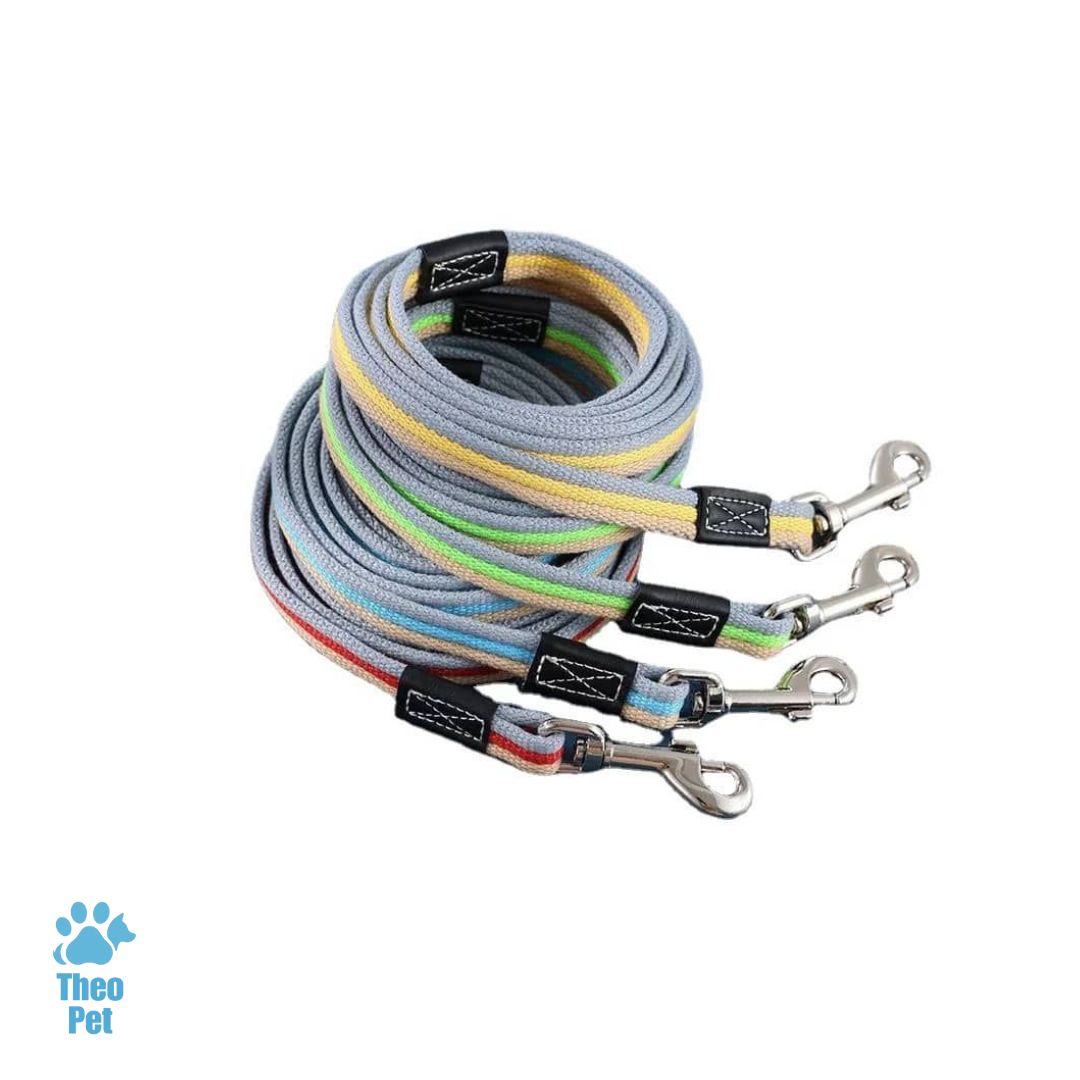 بند قلاده سگ (لیش) - تصویر 2