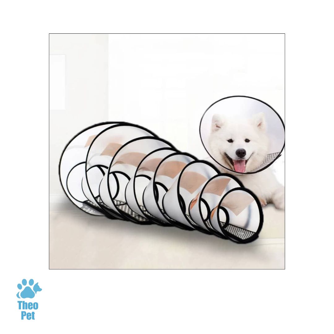 گردنبند الیزابت سگ و گربه - تصویر 2